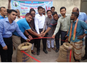 দিনাজপুরের ফুলবাড়ীতে ইরি-বোরো ধান ও চাল সংগ্রহ শুরু 