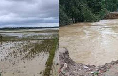 ফেনীতে বন্যায় কৃষিখাতে ক্ষতি ৯১৪ কোটি টাকা